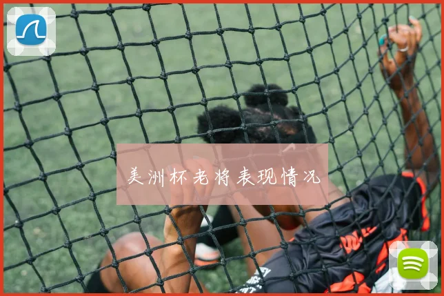 美洲杯老将表现情况